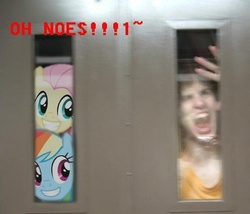 Size: 400x342 | Tagged: artist needed, safe, fluttershy, rainbow dash, human, pegasus, pony, g4, female, grin, male, mare, smiling, you gonna get raped