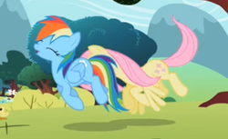 Size: 344x211 | Tagged: safe, screencap, fluttershy, rainbow dash, duck, pegasus, pony, g4, may the best pet win, season 2, duckling, duo, eyes closed, female, flying, mare, out of context