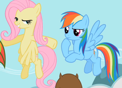 Size: 703x505 | Tagged: safe, screencap, fluttershy, rainbow dash, pegasus, pony, g4, may the best pet win, season 2, cropped, duo, female, flying, grin, lidded eyes, mare, out of context, smiling