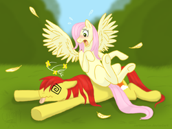 Size: 935x702 | Tagged: safe, artist:cartoonlion, posey, sunburst (g1), pegasus, pony, g1, g4, circling stars, crash, dizzy, female, g1 to g4, generation leap, knocked out, male, mare, race swap, ship:sunposey, shipping, stallion, straight, swirly eyes, tongue out, underhoof, wings
