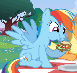 Size: 528x500 | Tagged: safe, screencap, applejack, rainbow dash, earth pony, pegasus, pony, a canterlot wedding, g4, season 2, animated, blue body, blue coat, blue fur, blue pony, blue wings, cute, eating, female, food, gif, herbivore, magenta eyes, mare, multicolored hair, multicolored mane, multicolored tail, picnic, picnic blanket, puffy cheeks, rainbow hair, rainbow tail, sandwich, sitting, solo focus, spread wings, tail, wings