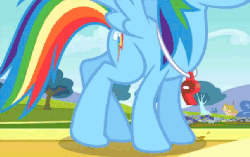 Size: 645x407 | Tagged: safe, screencap, rainbow dash, pegasus, pony, g4, hurricane fluttershy, season 2, animated, correct leg anatomy, cutie mark, female, gif, legs, mare, solo, spread wings, stretching, the robot, whistle, whistle necklace