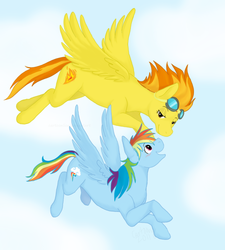 Size: 1000x1109 | Tagged: safe, artist:cartoonlion, rainbow dash, spitfire, pegasus, pony, g4, duo, female, flying, goggles, mare, sky
