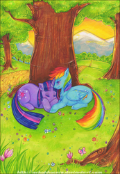 Size: 575x830 | Tagged: safe, artist:nekophoenix, rainbow dash, twilight sparkle, pegasus, pony, unicorn, g4, duo, female, lesbian, mare, nap, prone, ship:twidash, shipping, sleeping, tree, under the tree