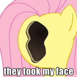 Size: 500x500 | Tagged: safe, fluttershy, pegasus, pony, g4, female, harry partridge, image macro, mare, no face, solo, the justin bieber show