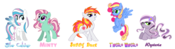 Size: 6431x1800 | Tagged: safe, artist:pinkanon, minty, star catcher, sunny daze (g3), thistle whistle, wysteria, earth pony, pegasus, pony, g3, g4, blue eyeshadow, colored wings, eyeshadow, female, flower, flower in hair, flying, g3 to g4, generation leap, gradient wings, grin, lying down, makeup, mare, pose, prone, simple background, smiling, sparkly wings, spread wings, standing, transparent background, wings