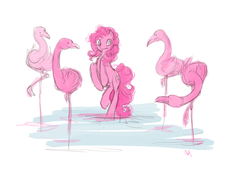 Size: 850x605 | Tagged: source needed, safe, artist:noel, pinkie pie, bird, earth pony, flamingo, pony, g4, behaving like a flamingo, female, mare, one of these things is not like the others, rearing, water