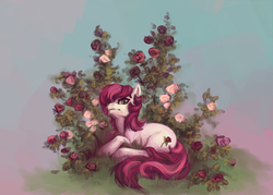 Size: 776x557 | Tagged: safe, artist:noel, roseluck, earth pony, pony, ask the flower girls, g4, ask, female, flower, mare, prone, rose, solo, tumblr