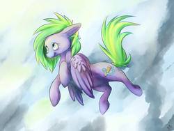 Size: 1600x1200 | Tagged: safe, artist:pashapup, oc, oc only, oc:twizz, unnamed oc, pegasus, pony, female, flying, mare, solo