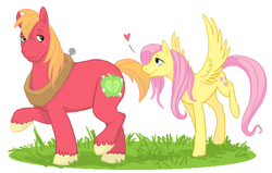 Size: 776x495 | Tagged: safe, artist:cartoonlion, big macintosh, fluttershy, earth pony, pegasus, pony, g4, biting, duo, female, heart, male, mare, raised hoof, raised leg, ship:fluttermac, shipping, simple background, stallion, straight, tail bite, white background