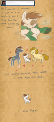Size: 1024x2292 | Tagged: safe, artist:pashapup, pipsqueak, oc, earth pony, pony, ask pipsqueak the pirate, g4, ask, clothes, colt, comic, family, female, male, mare, sad, scarf, stallion
