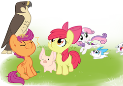 Size: 1088x760 | Tagged: safe, artist:php27, apple bloom, opalescence, scootaloo, sweetie belle, bird, cat, earth pony, falcon, mouse, pegasus, peregrine falcon, pig, pony, unicorn, g4, bow, chase, colored, cutie mark crusaders, eyes closed, female, filly, kitten, mouth hold, pet, pets, piglet, proud, running, simple background, sitting, sitting on head, trio, white background