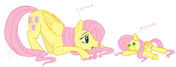 Size: 1591x613 | Tagged: dead source, safe, artist:cartoonlion, fluttershy, pegasus, pony, g4, blushing, crouching, doll, female, mare, plushie, simple background, solo, squeak, white background