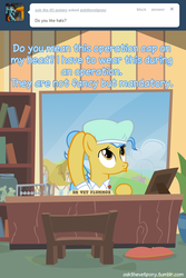 Size: 600x899 | Tagged: safe, artist:adiwan, doctor fauna, earth pony, pony, ask the vet pony, g4, ask, cap, desk, female, hat, mare, sitting, solo