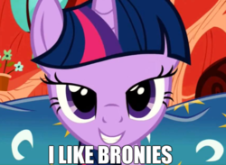 Size: 655x480 | Tagged: safe, artist:blackgryph0n, edit, twilight sparkle, pony, unicorn, g4, bedroom eyes, brony, caption, female, image macro, impact font, looking at you, mare, multicolored hair, multicolored mane, purple coat, purple eyes, purple fur, purple hair, purple mane, purple pony, screenshots, solo, striped hair, striped mane, text, tri-color hair, tri-color mane, tri-colored hair, tri-colored mane, tricolor hair, tricolor mane, tricolored hair, tricolored mane, unicorn twilight