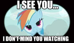 Size: 497x290 | Tagged: safe, edit, edited screencap, screencap, rainbow dash, pegasus, pony, g4, may the best pet win, season 2, bedroom eyes, caption, female, image macro, looking at you, mare, meme, solo