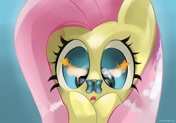 Size: 2500x1750 | Tagged: safe, artist:teknibaal, fluttershy, butterfly, pegasus, pony, g4, bust, butterfly on nose, cross-eyed, derp, female, insect on nose, looking at something, mare, open mouth, portrait, solo