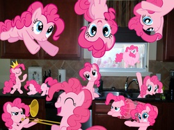 Size: 4000x3000 | Tagged: safe, pinkie pie, earth pony, pony, g4, clone, crown, female, hilarious in hindsight, irl, jewelry, kitchen, mare, multeity, musical instrument, photo, ponies in real life, regalia, too much pink energy is dangerous, trombone