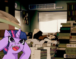 Size: 800x619 | Tagged: safe, twilight sparkle, human, pony, unicorn, g4, book, bookworm, duo, duo female, female, hoarding, human female, mare, on back, pile, pile of books, read or die, that pony sure does love books, yomiko readman