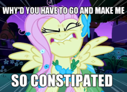 Size: 655x480 | Tagged: safe, edit, edited screencap, screencap, fluttershy, pegasus, pony, g4, the best night ever, caption, constipated, eyes closed, female, flutterrage, image macro, lip bite, mare, solo, song reference, weird al yankovic