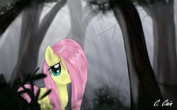 Size: 720x450 | Tagged: safe, artist:c-cain, fluttershy, pegasus, pony, g4, female, forest, hair over one eye, looking at you, mare, rain, smiling, solo, wet mane