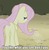 Size: 384x394 | Tagged: safe, edit, edited screencap, screencap, fluttershy, pegasus, pony, g4, season 2, the return of harmony, butt, caption, discorded, female, flutterbitch, hub logo, hubble, image macro, mare, meme, plot, rear view, solo