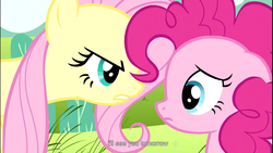 Size: 1366x768 | Tagged: safe, screencap, fluttershy, pinkie pie, earth pony, pegasus, pony, g4, putting your hoof down, duo, duo female, female, flutterbitch, mare, youtube caption