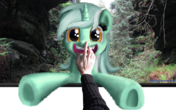 Size: 2000x1250 | Tagged: safe, artist:deathpwny, lyra heartstrings, human, pony, unicorn, g4, boop, female, fourth wall, hand, looking at you, mare, smiling, underhoof