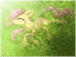 Size: 900x675 | Tagged: safe, artist:inuhoshi-to-darkpen, fluttershy, pegasus, pony, g4, 2012, dappled sunlight, eyes closed, female, field, filly, foal, grass, happy, on side, sleeping, smiling, solo