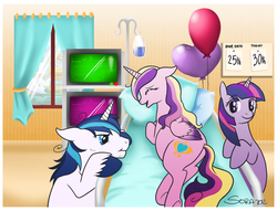 Size: 1280x978 | Tagged: safe, artist:black-namer, princess cadance, shining armor, twilight sparkle, alicorn, pony, unicorn, g4, balloon, bed, bipedal, bipedal leaning, butt, electrocardiogram, female, hilarious in hindsight, hospital, labor, leaning, male, mare, messy mane, pillow, plot, pregdance, pregnant, prone, sensibly-proportioned pregnancy, ship:shiningcadance, shipping, stallion, straight, stubble