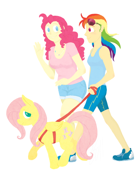 2726813 - safe, derpibooru import, fluttershy, pinkie pie, rainbow