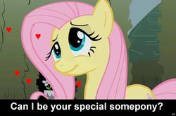 Size: 1024x672 | Tagged: safe, fluttershy, pegasus, pony, g4, bronybait, caption, cs captions, cute, female, heart, implied, love, mare, solo, special somepony, text