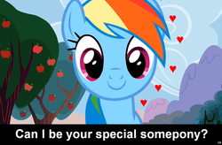 Size: 1024x671 | Tagged: safe, edit, edited screencap, screencap, rainbow dash, pegasus, pony, g4, the super speedy cider squeezy 6000, bronybait, caption, cs captions, female, heart, implied, looking at you, love, mare, smiling, solo, special somepony