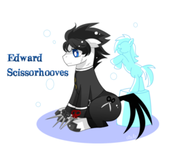 Size: 799x700 | Tagged: dead source, safe, artist:charmyamber, earth pony, pony, clothes, edward scissorhands, male, ponified, simple background, sitting, solo, stallion, tim burton, transparent background