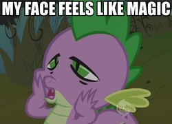 Size: 649x467 | Tagged: safe, edit, edited screencap, screencap, spike, dragon, friendship is magic, g4, season 1, caption, high, hub logo, hubble, image macro, male, solo, stoner spike, text