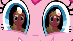 Size: 1000x563 | Tagged: safe, big macintosh, pinkie pie, earth pony, pony, g4, close-up, female, grin, male, mare, pinkiemac, reflection, shipping, smiling, stallion, straight