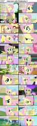 Size: 1282x4376 | Tagged: safe, edit, edited screencap, screencap, fluttershy, opalescence, pinkie pie, rainbow dash, earth pony, pegasus, pony, comic:celestia's servant interview, g4, caption, comic, female, interview, mare