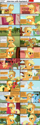 Size: 1282x4019 | Tagged: safe, edit, edited screencap, screencap, applejack, big macintosh, rainbow dash, earth pony, pegasus, pony, comic:celestia's servant interview, g4, caption, comic, derp, female, hilarious in hindsight, interview, male, mare, stallion, who's a silly pony