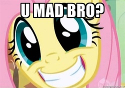 Size: 500x351 | Tagged: safe, edit, edited screencap, screencap, fluttershy, pegasus, pony, g4, female, grin, image macro, mare, smiling, solo, u mad