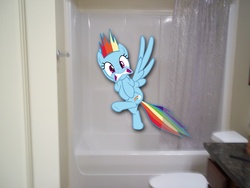 Size: 4000x3000 | Tagged: safe, rainbow dash, pegasus, pony, g4, bathtub, female, irl, mare, photo, ponies in real life, shower, solo, surprised, toilet, vector