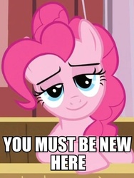 Size: 451x601 | Tagged: safe, edit, edited screencap, screencap, pinkie pie, earth pony, pony, g4, the last roundup, female, image macro, lidded eyes, mare, meme, reaction image, smiling, solo, you must be new here