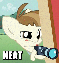 Size: 289x310 | Tagged: safe, edit, edited screencap, screencap, featherweight, pegasus, pony, g4, ponyville confidential, animated, camera, colt, gif, male, neat, reaction image, solo