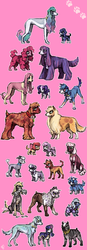 Size: 900x2582 | Tagged: safe, artist:emlan, apple bloom, applejack, big macintosh, bon bon, cheerilee, derpy hooves, diamond tiara, dj pon-3, fluttershy, gilda, lyra heartstrings, pinkie pie, princess celestia, princess luna, rainbow dash, rarity, scootaloo, silver spoon, sweetie belle, sweetie drops, trixie, twilight sparkle, vinyl scratch, zecora, dog, poodle, terrier, g4, adorabon, appledog, border collie, butt fluff, cape, cheeribetes, chest fluff, clothes, collar, cute, diamondbetes, dogified, everypony, eye contact, female, fluffy, flutterdog, frown, gildadorable, glare, gritted teeth, hidden eyes, irish wolfhound, jewelry, leg fluff, lidded eyes, looking at each other, looking up, macabetes, male, moonmutt, mouth hold, necklace, newspaper, open mouth, paw prints, pink background, princess, puppy, puppy bloom, puppy pie, raridog, s1 luna, silverbetes, simple background, smiling, smirk, species swap, sunglasses, sunmutt, tail fluff, tail wag, twilight barkle, vinylbetes, wall of tags, zecorable
