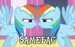 Size: 569x363 | Tagged: safe, edit, edited screencap, screencap, rainbow dash, pegasus, pony, a canterlot wedding, g4, season 2, blue body, blue coat, blue fur, blue pony, blue wings, clone, disguise, disguised changeling, double rainbow, eye contact, female, image macro, looking at each other, magenta eyes, mare, multicolored hair, multicolored mane, rainbow hair, samefag, slur, wings