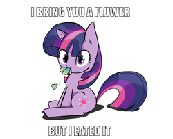 Size: 997x796 | Tagged: safe, artist:zev, twilight sparkle, pony, unicorn, g4, cute, eating, female, filly, filly twilight sparkle, flower, foal, herbivore, horses doing horse things, image macro, looking at you, sitting, solo, younger