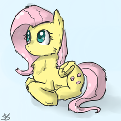 Size: 900x900 | Tagged: safe, artist:speccysy, fluttershy, pegasus, pony, g4, cheek fluff, chest fluff, female, fluffy, mare, prone, simple background, solo