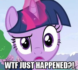 Size: 389x350 | Tagged: safe, edit, edited screencap, screencap, twilight sparkle, pony, unicorn, g4, confused, female, mare, reaction image, solo, wtf