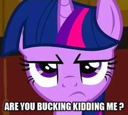 Size: 400x360 | Tagged: safe, edit, edited screencap, screencap, twilight sparkle, pony, unicorn, a canterlot wedding, g4, annoyed, are you kidding, female, mare, reaction image, solo