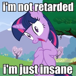 Size: 720x719 | Tagged: safe, edit, edited screencap, screencap, twilight sparkle, pony, unicorn, g4, female, image macro, insanity, mare, slur, solo