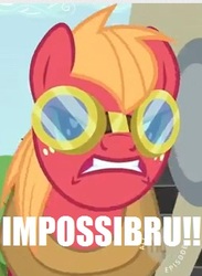 Size: 253x345 | Tagged: safe, edit, edited screencap, screencap, big macintosh, earth pony, pony, g4, the super speedy cider squeezy 6000, goggles, gritted teeth, impossibru, male, reaction image, solo, stallion